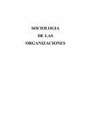 SOCIOLOGIA DE LAS ORGANIZACIONES