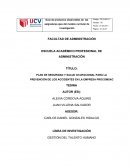 PLAN DE SEGURIDAD Y SALUD OCUPACIONAL PARA LA PREVENCIÓN DE LOS ACCIDENTES EN LA EMPRESA PROCOMSAC