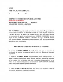Ejemplo de contestación de demanda. Página 1