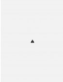 CAPÍTULO 3 LA VISIÓN, LA MISIÓN Y LOS VALORES