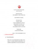 TRANSPORTE GLOBAL