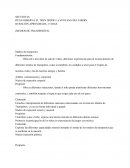 RYAN OBSERVA EL TREN DESDE LA VENTANA DEL JARDIN. DURACIÓN APROXIMADA: 15 DIAS. (MEDIOS DE TRANSPORTES)