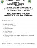 PROCESO DE ATENCIÓN DE ENFERMERÍA Quemadura por fricción en miembro inferior derecho
