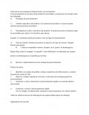 Selección de una estratégia de diferenciación y segmentación de mercado