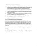 Bases de la atención técnica interdisciplinaria