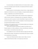 Ensayo sobre el Derecho Corporativo.