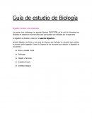 Digestión Humana y de Vertebrados