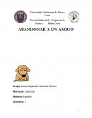 Abandono de mascotas ¿Qué es exactamente el abandono?