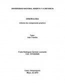 Informe de componente practico drendologia