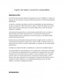 Injerto de tejido conectivo subepitelial