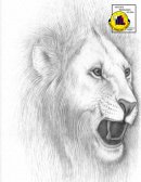 Taller de Investigación TIPOS DE INVESTIGACIÓN