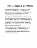 Constituye la primera fase entre el nacimiento y los dos primeros años de vida