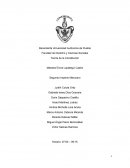 Teoría de la Constitución Mexicana