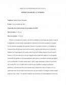 PRACTICA SUPERVISADA III CICLO: 2015-2 REPORTE DIARIO DE ACTIVIDADES