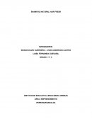 SHAMPOO NATURAL HAIR FRESH