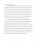 EL BANANO. ANTECEDENTES HISTÓRICOS