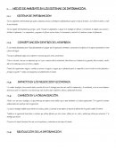 MEDIO DE AMBIENTE EN LOS SISTEMAS DE INFORMACION.