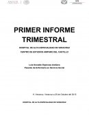 Primer Informe Trimestral del Servicio Social