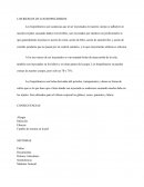 Los Riesgos de los Biopolímeros