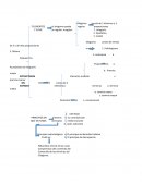 Silogismo. Cuadro conceptual