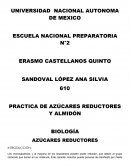 PRACTICA DE AZÚCARES REDUCTORES Y ALMIDÓN
