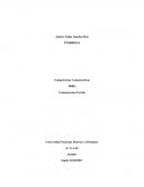 Competencias Comunicativas Comunicacion Escrita