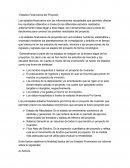 Estados Financieros del Proyecto.