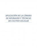 APLICACIÓN DE LA CÁMARA DE NEUBAUER Y TÉCNICAS DE CULTIVO CELULAR