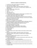 APARATO DIGESTIVO RESPUESTAS