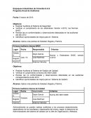 Programa Anual de Auditorias