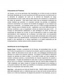 Fundamentos de Administración. Analisis del Caso Jet Airways