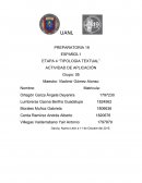 Español Actividad de Aplicacion Etapa 4