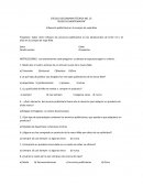 Influencia publicitaria en la compra de ropa Nike