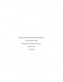 Tarea1.¿Cómo se estructura el proceso teórico de recursos humanos, señalando cómo éste se aplica a alguna empresa determinada o que usted conozca?