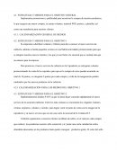 STRATEGIA Y MEDIOS PARA EL OBJETIVO GENERAL