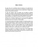 Tortugas Marco Teórico