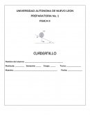 Actividades Fisica 2 Cuadernillo