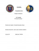 El Cuento “El Poder Del Árbol”