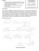 Practica 8 Cumarinas