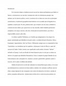 Los chichimecas en Mexico