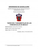 DERECHOS FUNDAMENTALES DE LOS HOMOSEXUALES EN MÉXICO