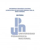 LICENCIATURA EN EDUCACIÓN PRIMARIA PARA EL MEDIO INDÍGENA.