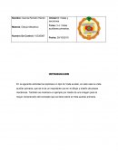 Vistas y secciones ¿Qué son las vistas auxiliares primarias?