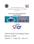 Ensayo de los patrones básicos del comportamiento