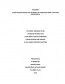 Transplante de sinfisis mandibular para tejido oseo