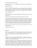 Caracteristicas del liberalismo continental