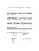 EL CURRICULUM: ¿LOS CONTENIDOS DE LA ENSEÑANZA O UN ANALISIS DE LA PRÁCTICA?