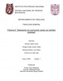 Odulación de una función celular por señales químicas