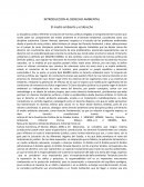 El medio ambiente y el derecho