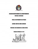 Experimento de Pavlov